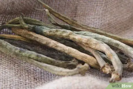 Imagen titulada Dry Okra Seeds Step 10
