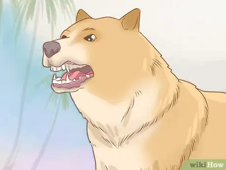 Imagen titulada Spot Rabies in a Dog Step 3