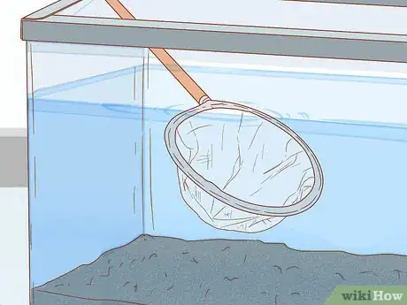 Imagen titulada Care for Turtles Step 13