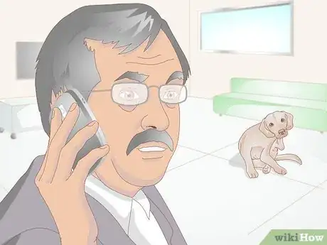 Imagen titulada Get Rid of a Rash on a Dog Step 4