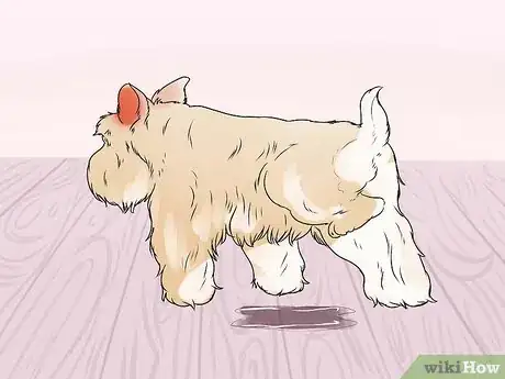Imagen titulada Tell if a Dog Is in Pain Step 12