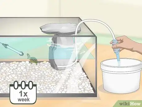Imagen titulada Take Care of Mini Pet Turtles Step 11