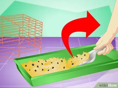 Imagen titulada Clean Your Rabbit Without Bathing It Step 10