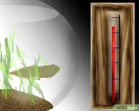 Imagen titulada Raise tadpoles Step 4