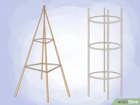 Imagen titulada Grow Eggplants in Pots Step 6