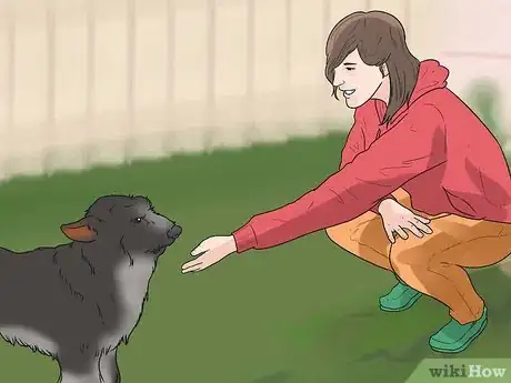 Imagen titulada Tell if a Dog Is in Pain Step 11