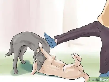 Imagen titulada Break Up a Dog Fight Step 7