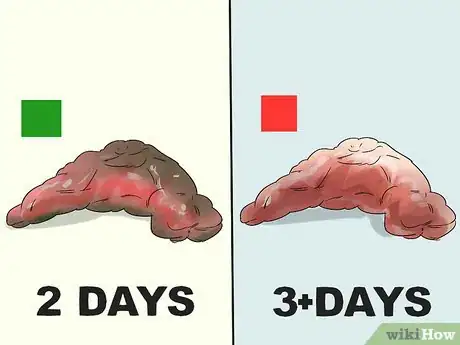 Imagen titulada Manage Postpartum Shedding in Dogs Step 5