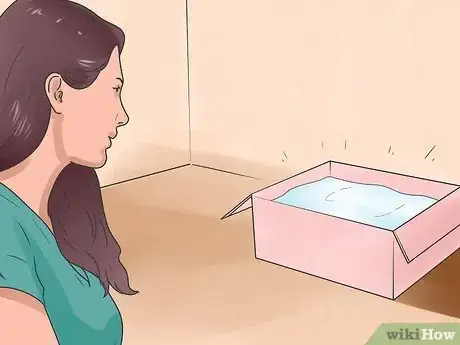 Imagen titulada Help Your Dog Whelp or Deliver Puppies Step 6