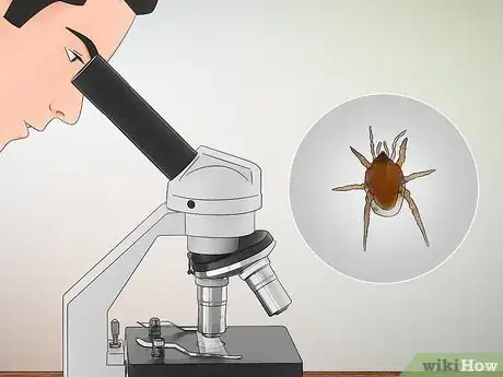 Imagen titulada Know if You Have Dust Mites Step 6