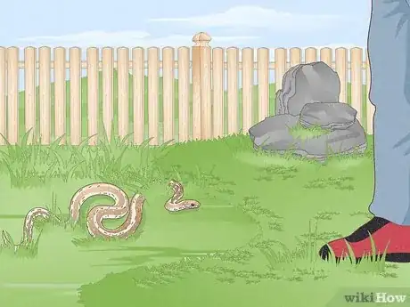 Imagen titulada Trap a Snake Step 1