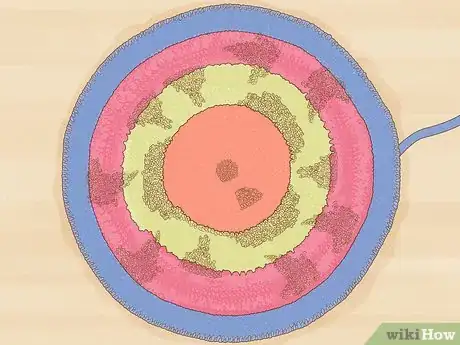 Imagen titulada Make a Rag Rug Step 40