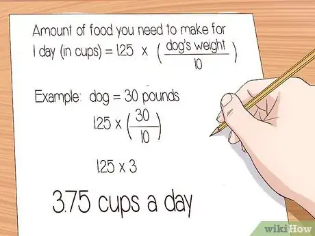 Imagen titulada Ease Your Dog's Stomach Problems Step 12