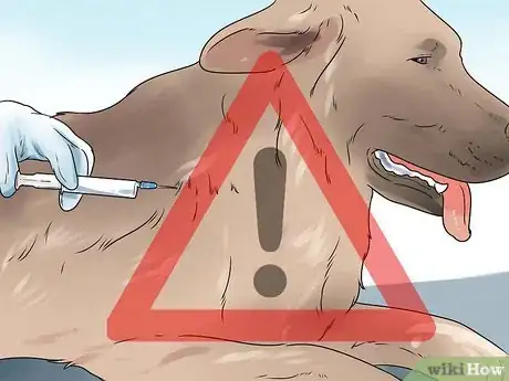 Imagen titulada Help Your Dog Whelp or Deliver Puppies Step 2