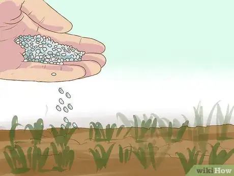 Imagen titulada Make a Putting Green Step 15