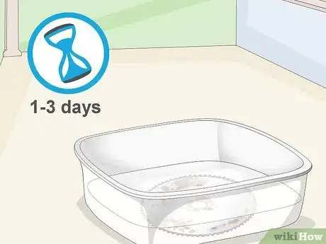 Imagen titulada Clean Rusty Tools Step 10