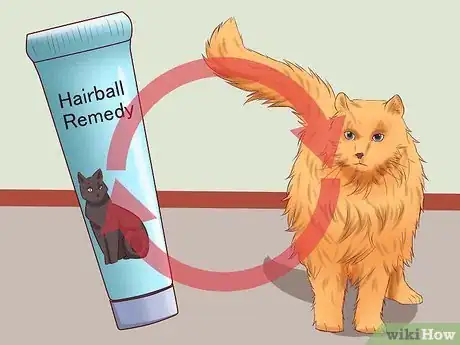 Imagen titulada Cure a Cat of Constipation Step 20