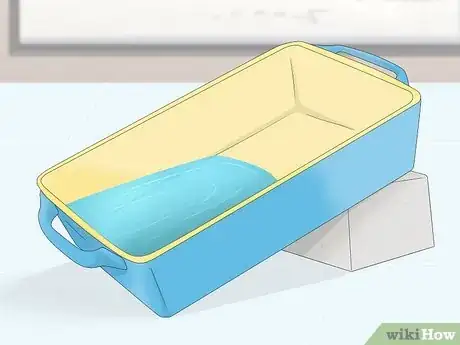 Imagen titulada Bathe a Russian Tortoise Step 4