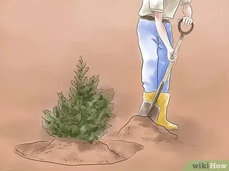 Imagen titulada Get Rid of Rabbits Step 5