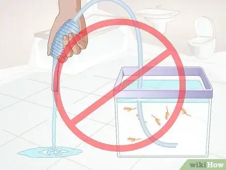 Imagen titulada Care for Sea Monkeys Step 10