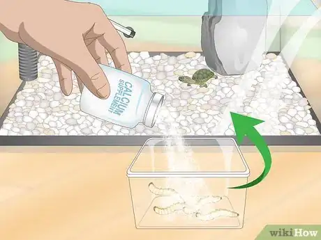 Imagen titulada Take Care of Mini Pet Turtles Step 10