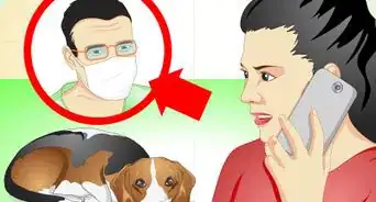cuidar a un perro con suturas