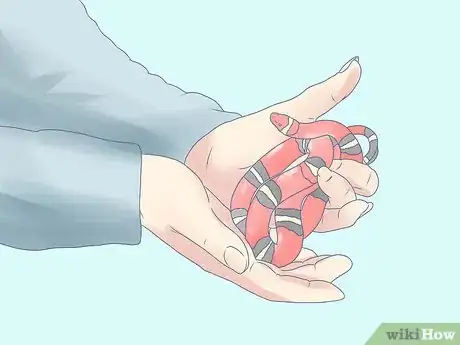 Imagen titulada Care for a Milk Snake Step 1