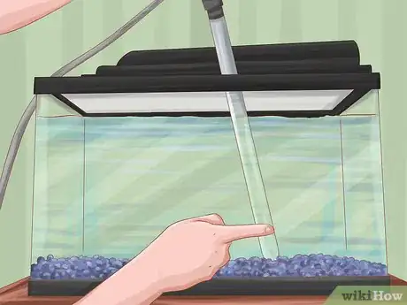 Imagen titulada Keep Your Fish from Dying Step 4