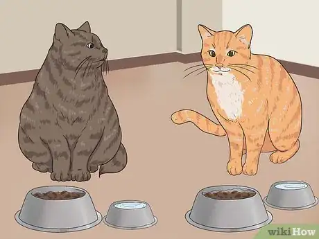 Imagen titulada Bring a Second Cat Into the Family and Not Make Your Old Cat Upset Step 4