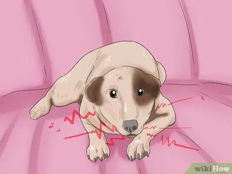 Imagen titulada Tell if a Dog Is in Pain Step 10