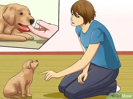 Imagen titulada Get Your Puppy to Stop Biting Step 9