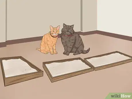 Imagen titulada Bring a Second Cat Into the Family and Not Make Your Old Cat Upset Step 3