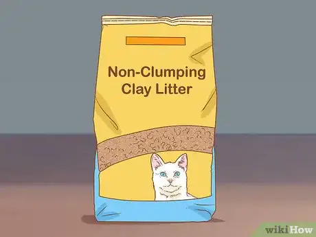 Imagen titulada Keep Litter from Clumping in Your Kitty's Paws Step 1