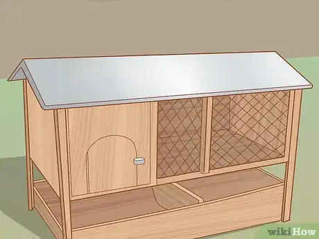 Imagen titulada Get Quails to Lay Eggs Step 1
