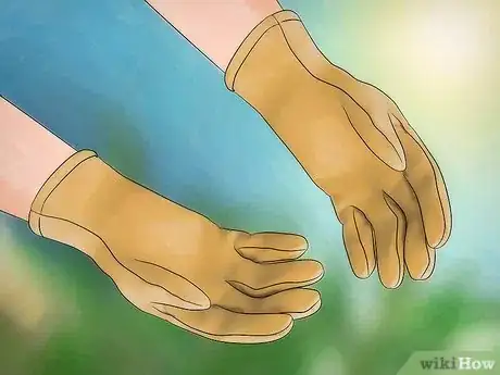 Imagen titulada Prune Oleander Step 2