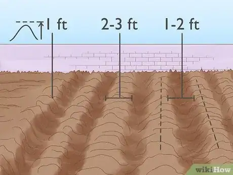 Imagen titulada Grow Melons Step 6