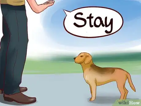 Imagen titulada Train a Guard Dog Step 5