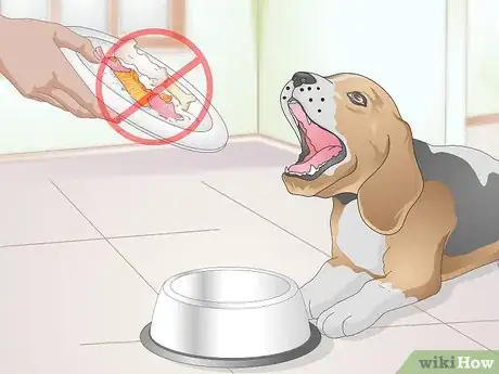 Imagen titulada Feed an Older Dog with Kidney Disease Step 8