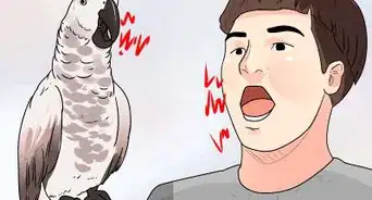 entrenar a un loro para que haga menos ruido