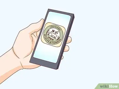 Imagen titulada Become a Falconer Step 1