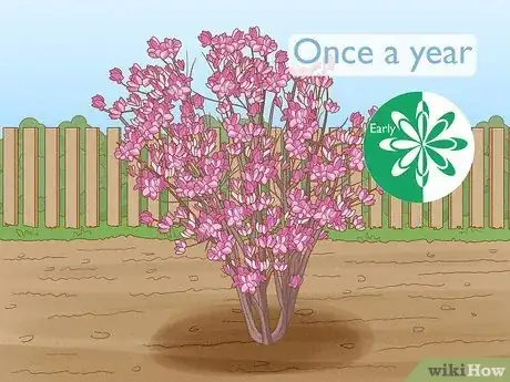 Imagen titulada Prune a Tulip Magnolia Step 1