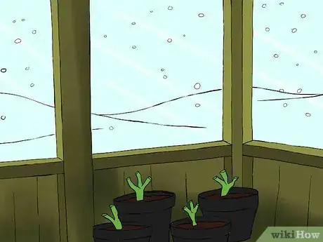 Imagen titulada Overwinter Dahlias Step 1