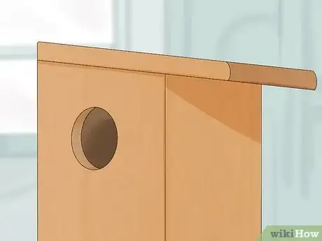 Imagen titulada Keep a Pet Squirrel Step 13