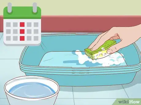 Imagen titulada Keep Litter from Clumping in Your Kitty's Paws Step 6