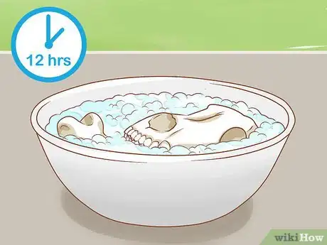 Imagen titulada Clean Bones Step 10