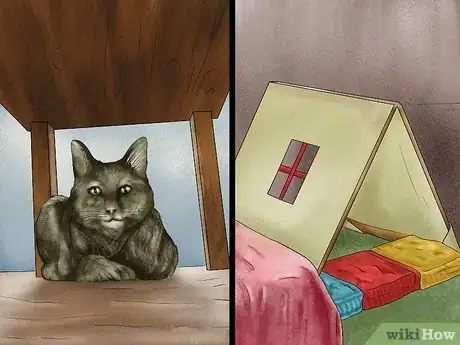 Imagen titulada Encourage a Cat to Use Its Bed Step 2
