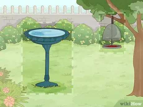 Imagen titulada Get Rid of Aphids on Roses Organically Step 6