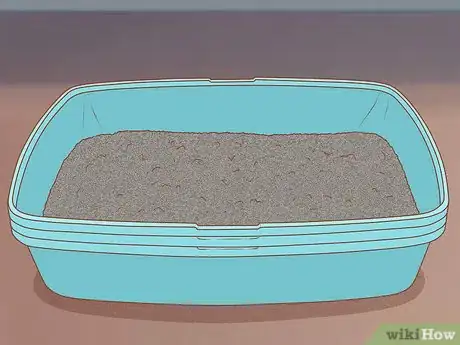 Imagen titulada Keep Litter from Clumping in Your Kitty's Paws Step 4
