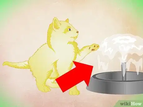 Imagen titulada Make a Kitten Like Water Step 5