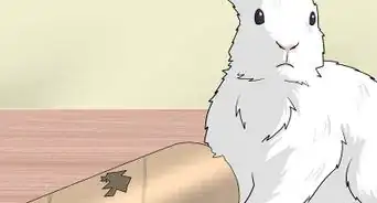 hacer juguetes caseros para conejos